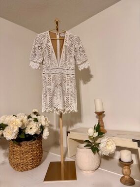 SAYLOR Cream and Tan Lace Dress